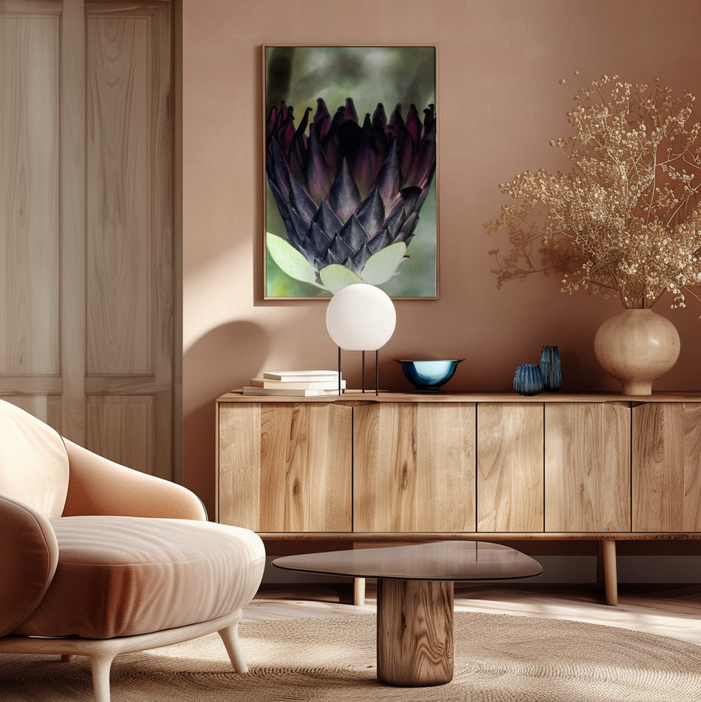 King Protea 01 Poster