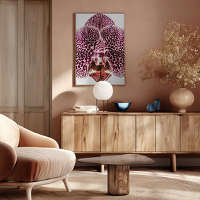 Leopard Orchid Poster