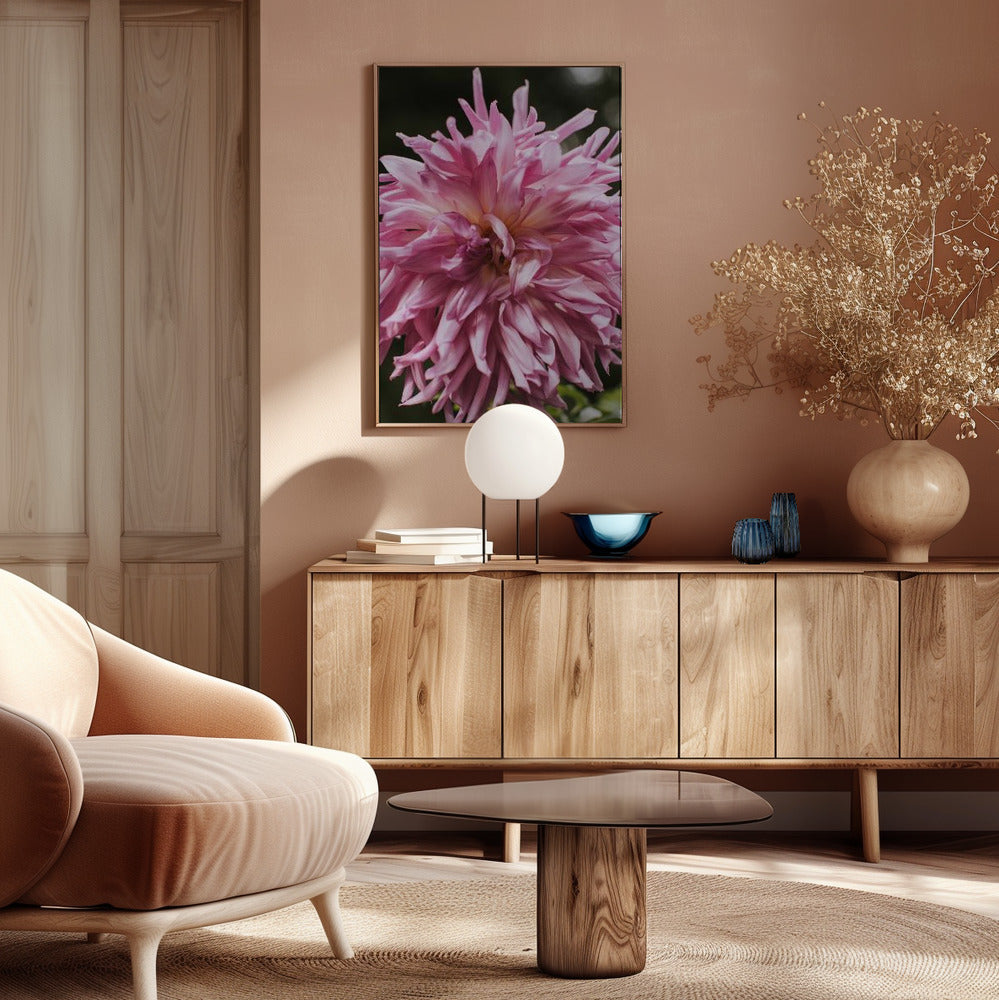 Light Pink Dhalia Poster