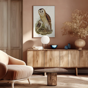 Grass Owl Poster