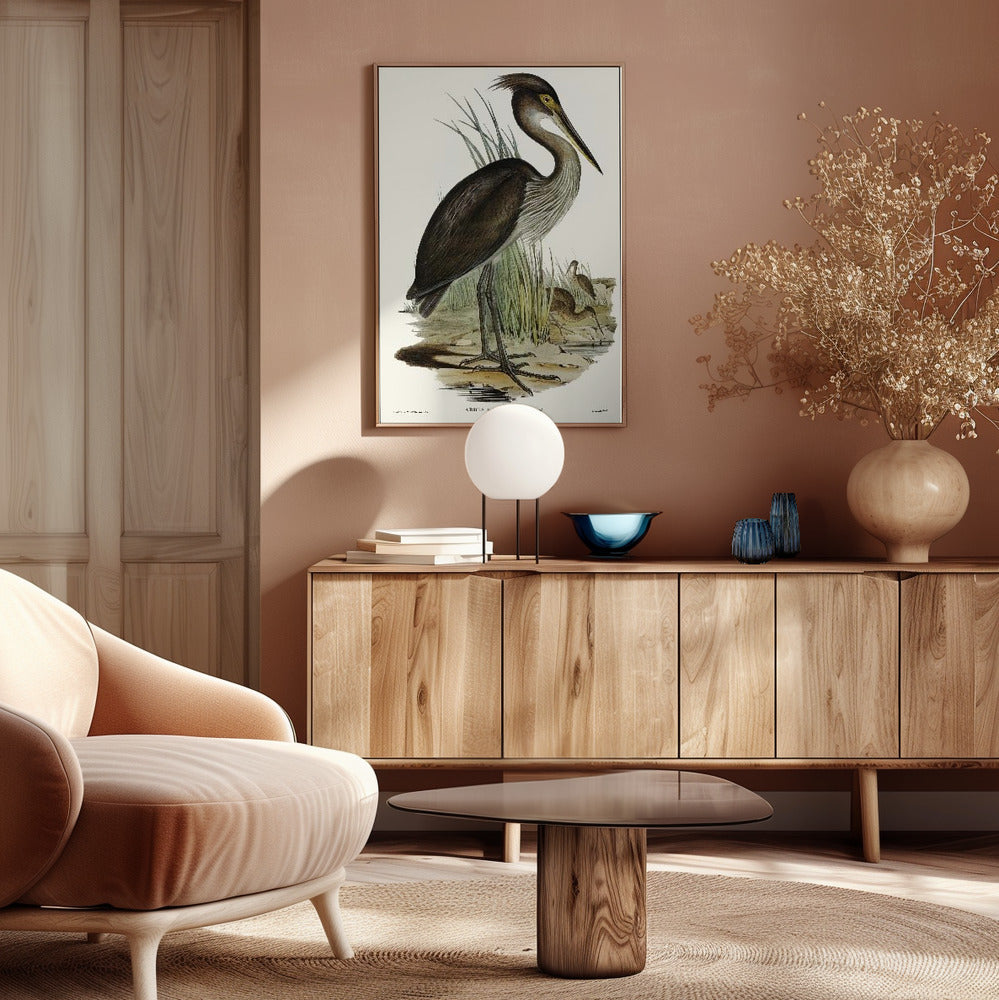 Great Billed Heron Poster