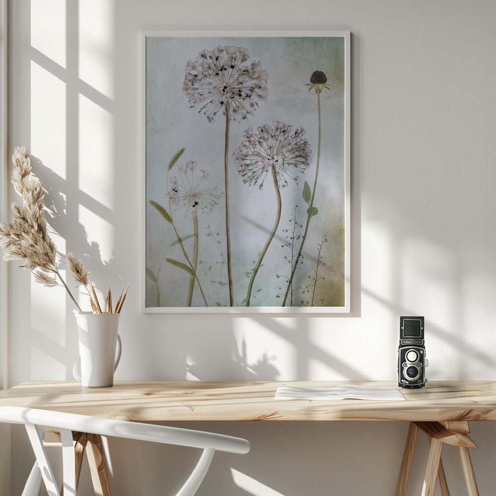 Allium Poster