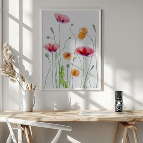 Poppies Poster