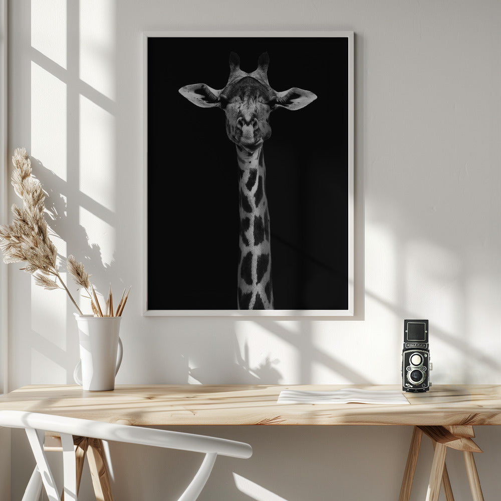 Giraffe Portrait Poster