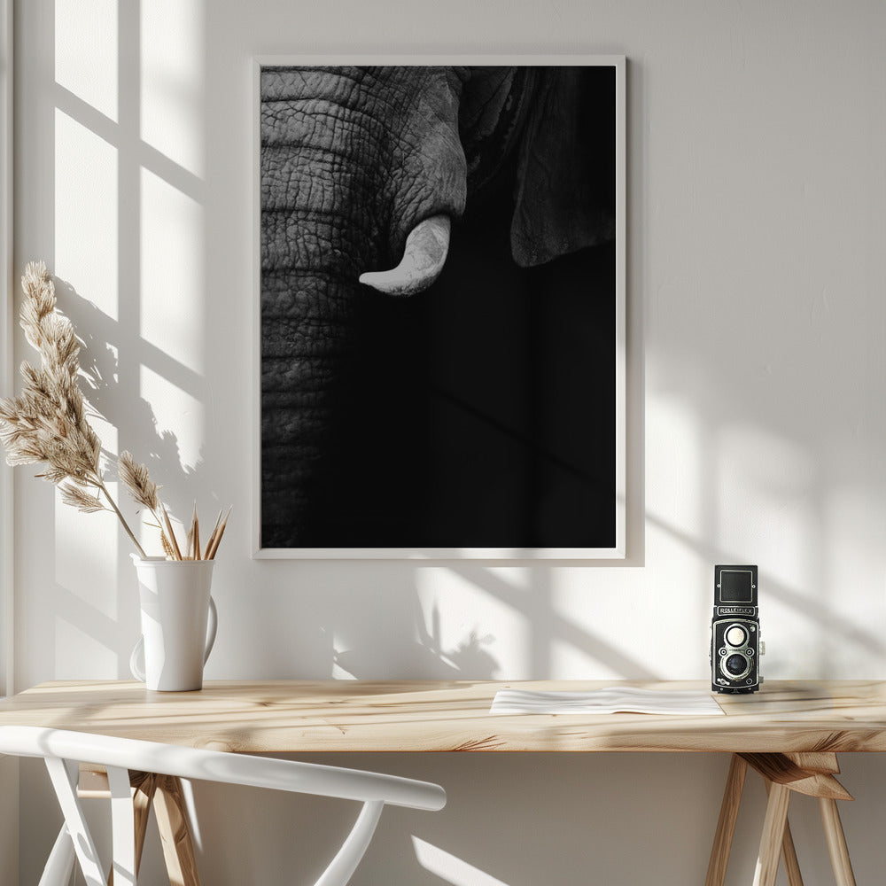 Elephant Portrait Poster