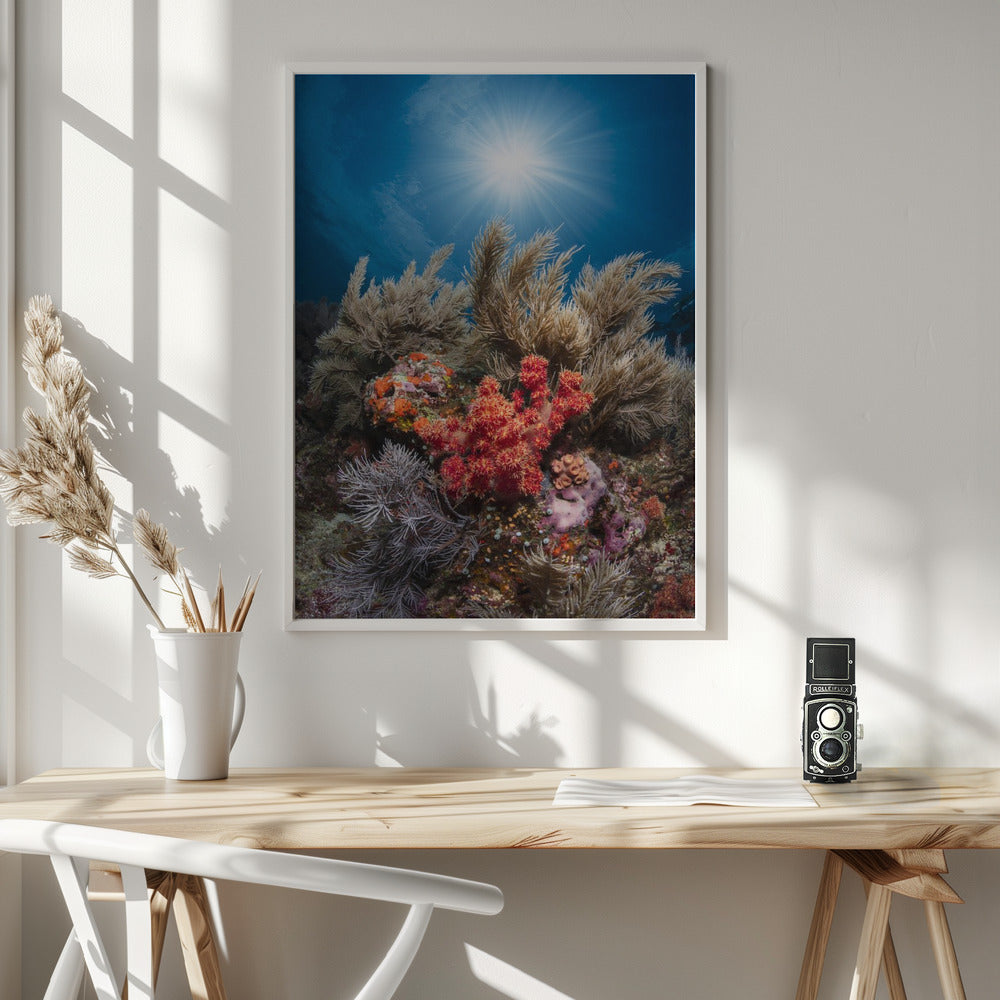 Underwater life Poster