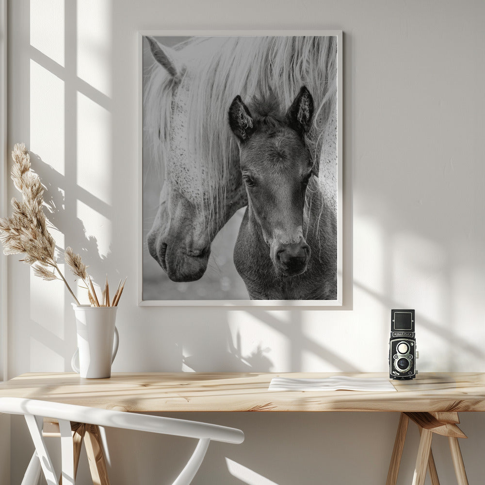 The Foal Poster