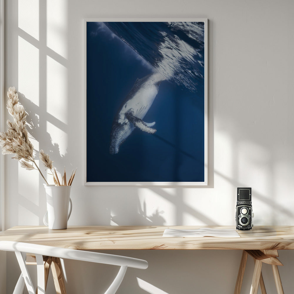 Reversing: Humpback Whale Poster