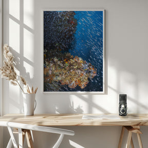 Coral reef under the sun of Raja Ampat. Poster