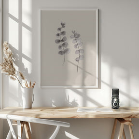 Eucalyptus Twigs Poster