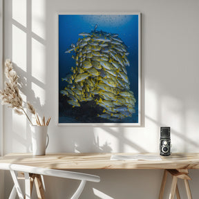 Fish Tower Poster