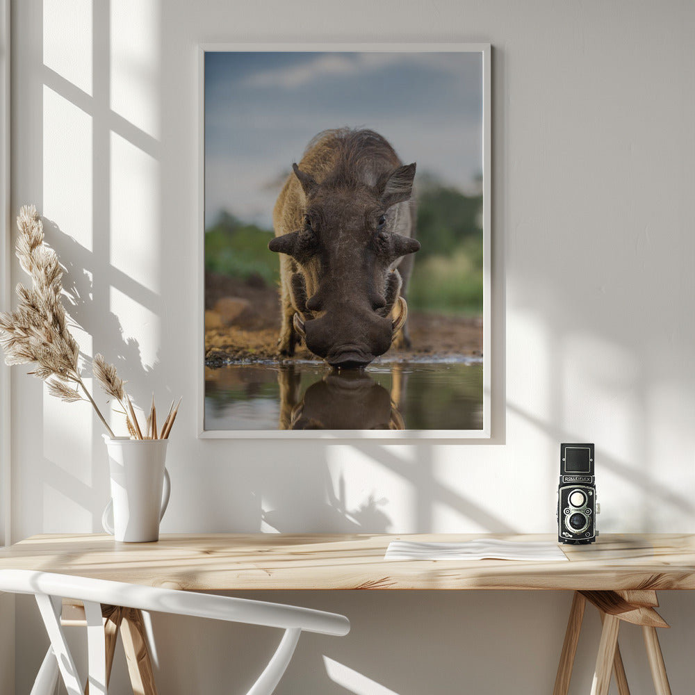 HEAD ON HOG Poster
