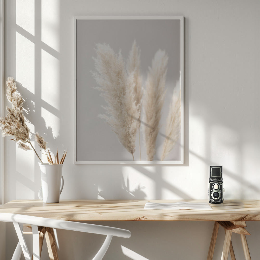 Pampas Grass Grey 02 Poster