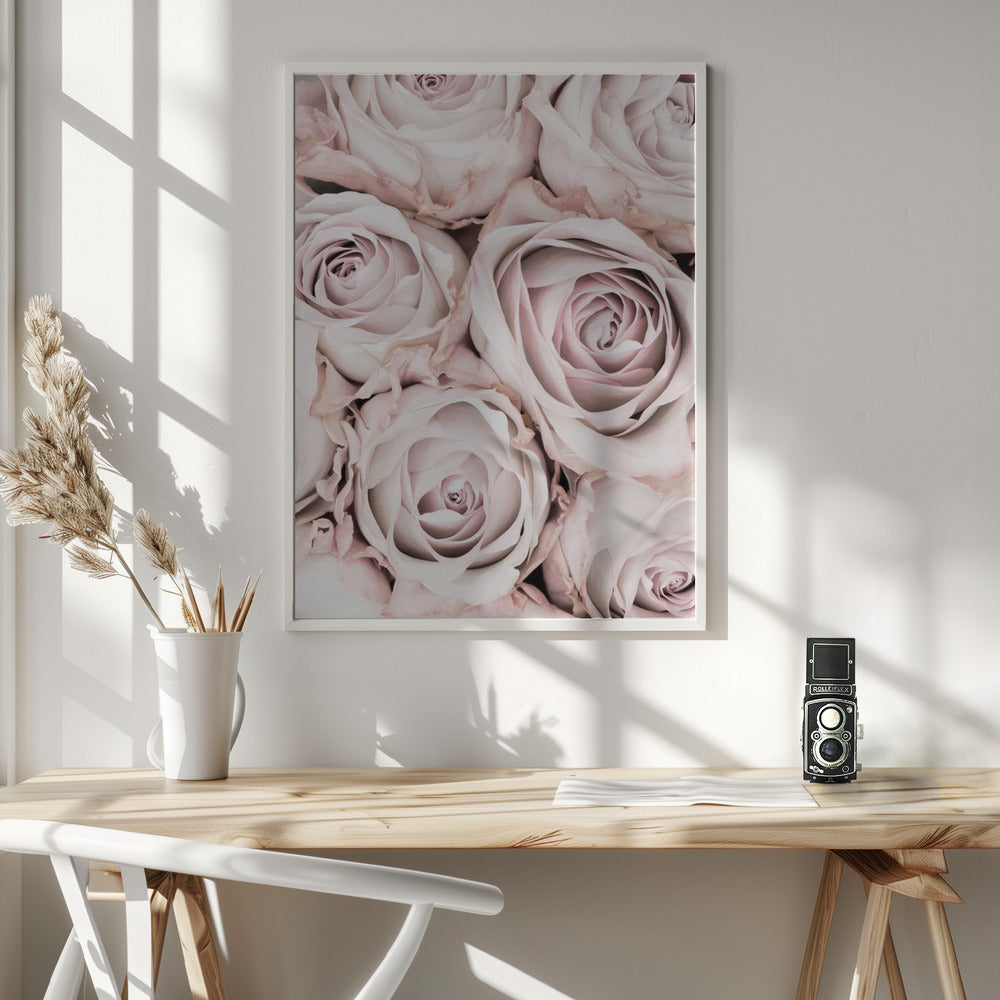 Pink Roses No 01 Poster