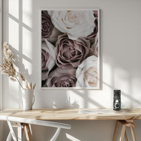 Roses Poster