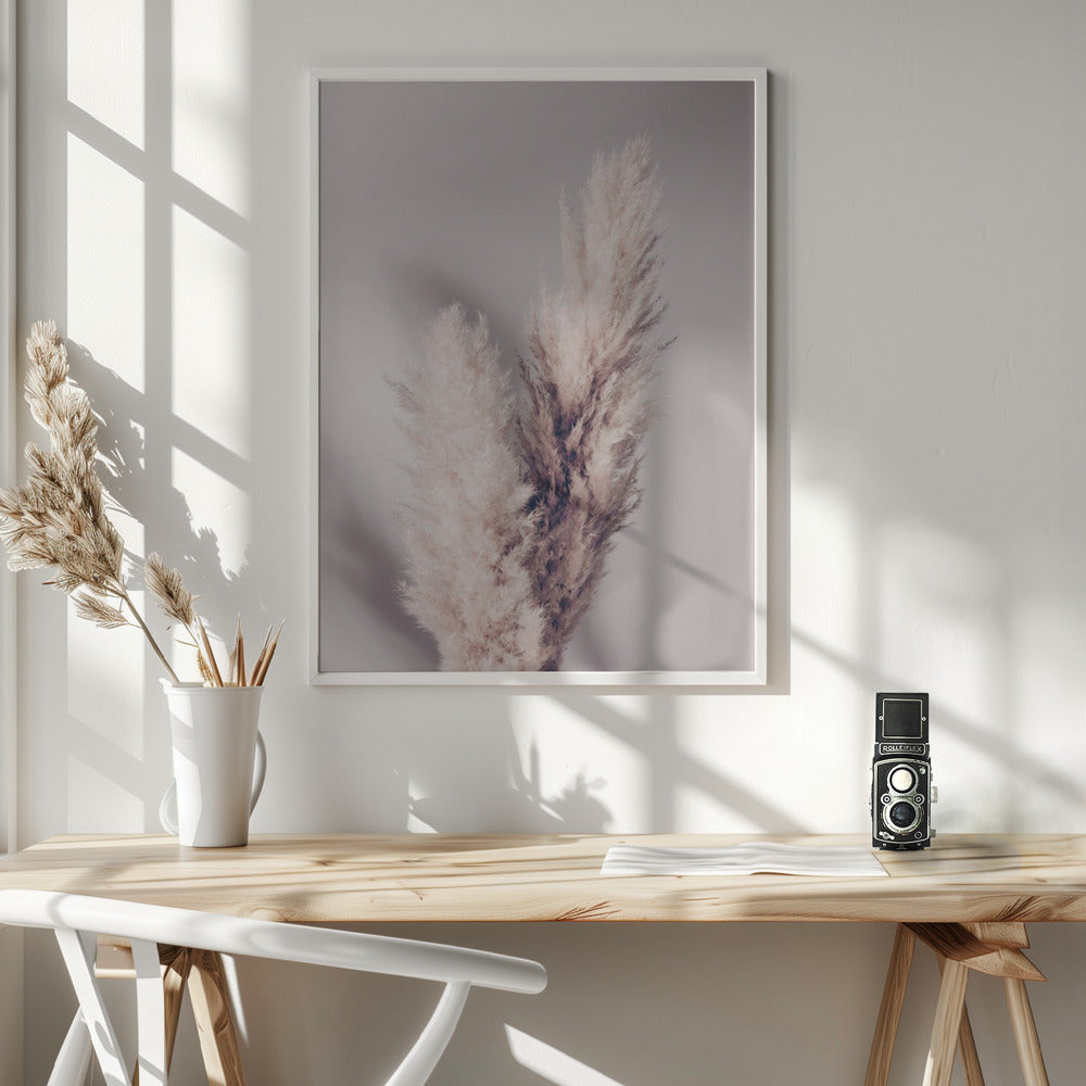 Pampas Grass Poster