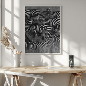 Striped Poster