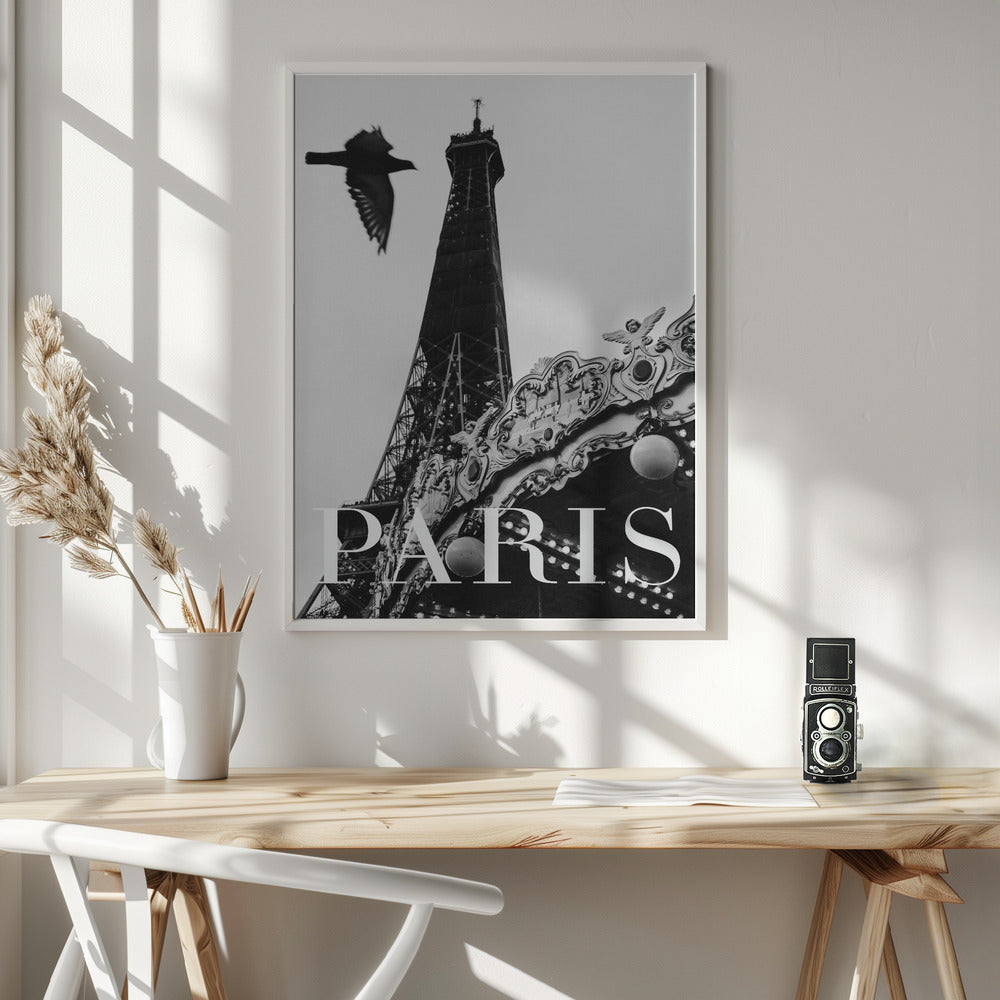 Paris Dove Poster