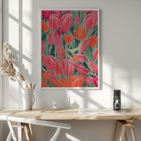 Pink Tulips Poster