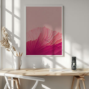 Pink Coral Poster