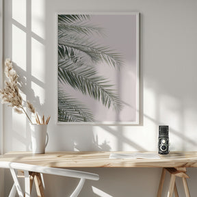 Blush Palm Leaves Poster