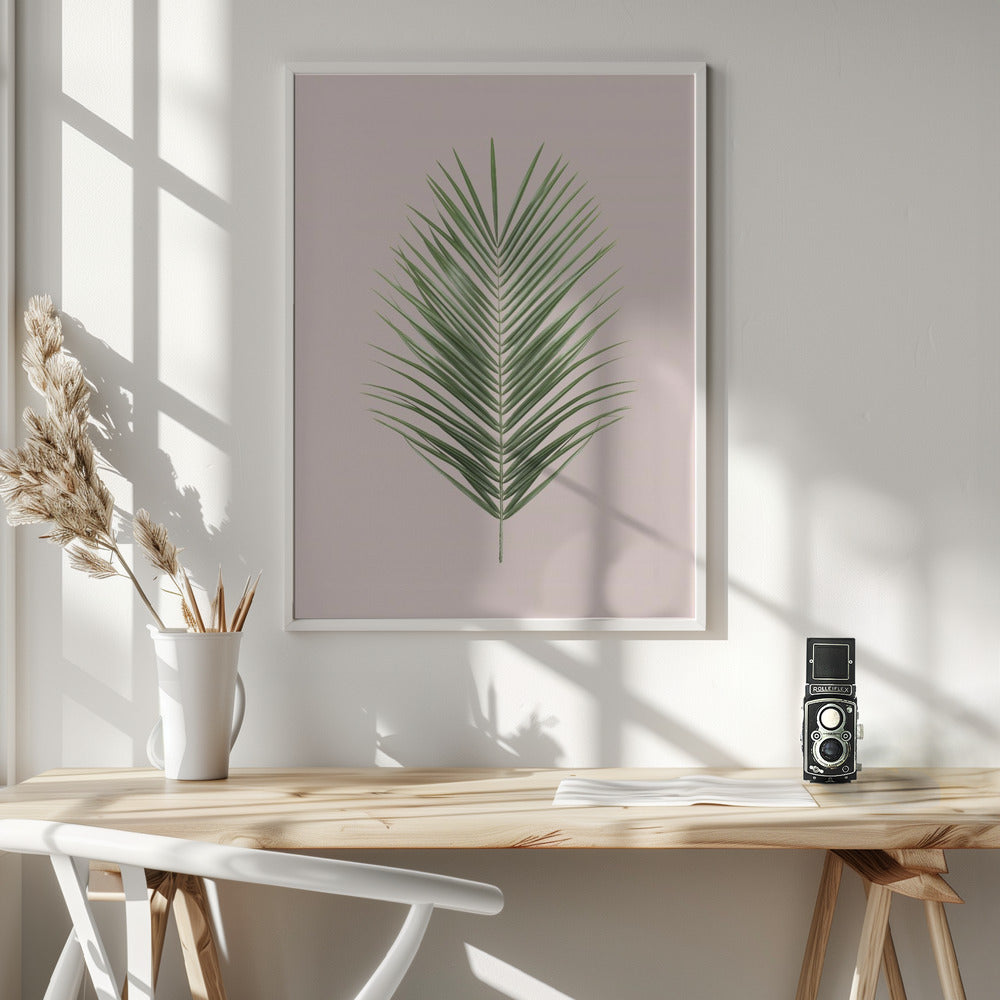 Palm Leaf Blush Poster