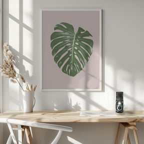 Monstera Leaf Blush Poster