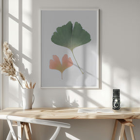 Pastel Ginkgo Poster