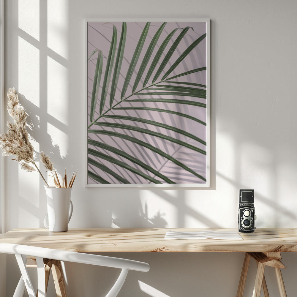 Palm Leaf Shadow Poster