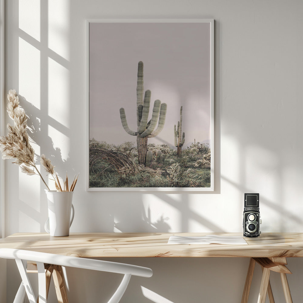 Pink Saguaro Poster