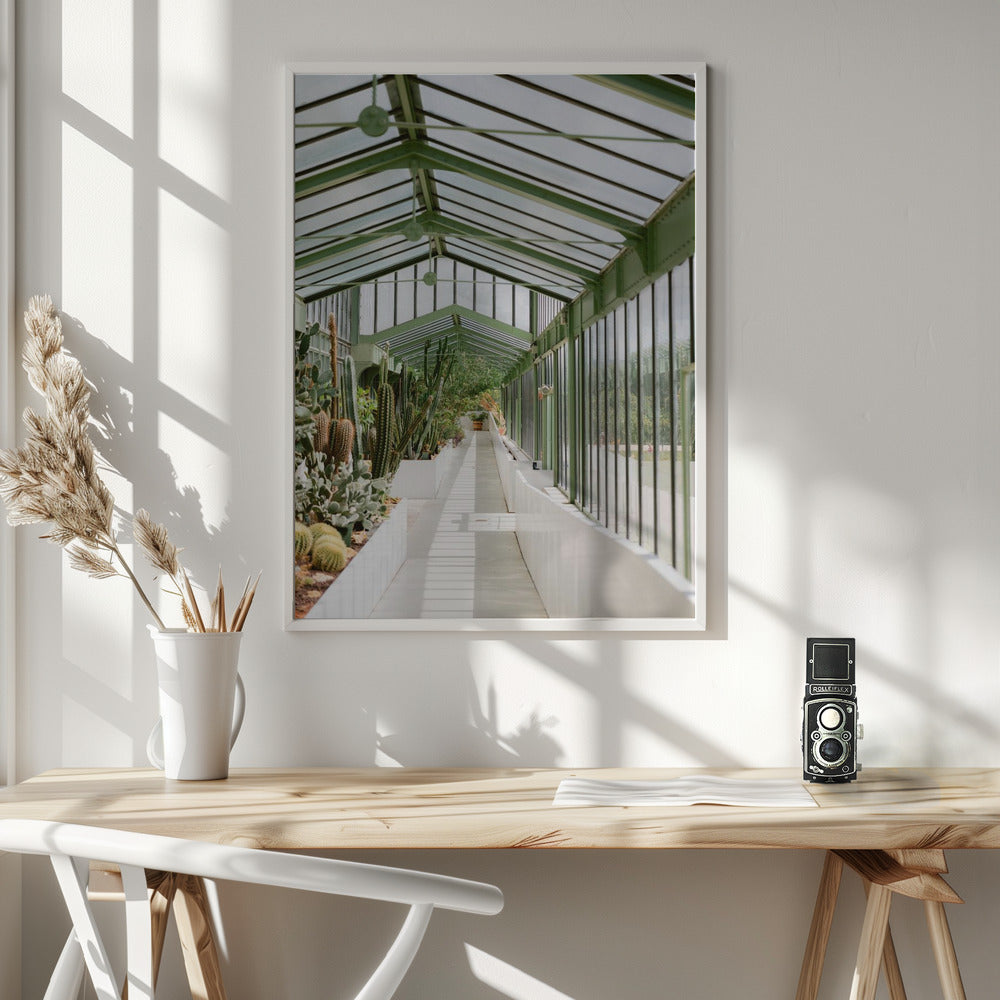 Botanical garden of Paris Poster