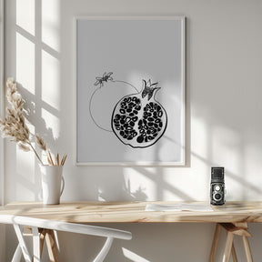 Line art pomegranates Poster