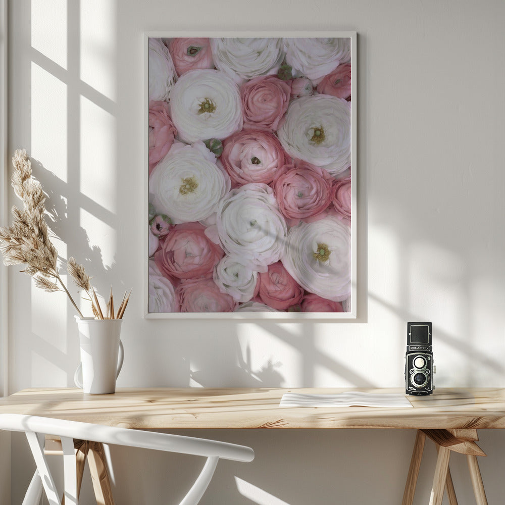 Scattered ranunculus in muted pink I Poster