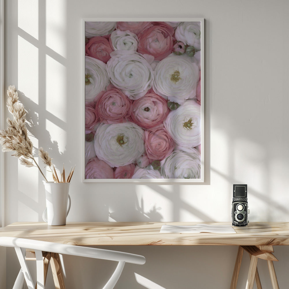 Scattered ranunculus in muted pink II Poster