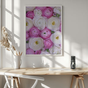 Scattered ranunculus in pink I Poster