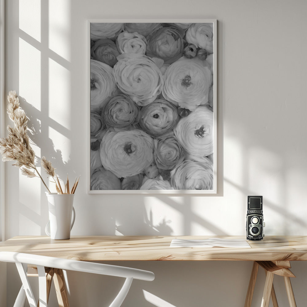 Scattered ranunculus grayscale II Poster