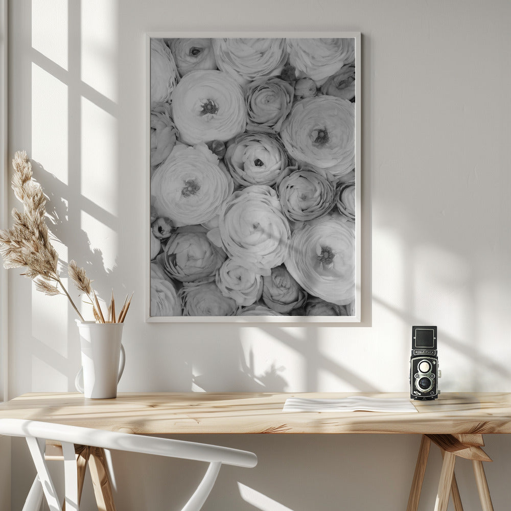 Scattered ranunculus grayscale I Poster