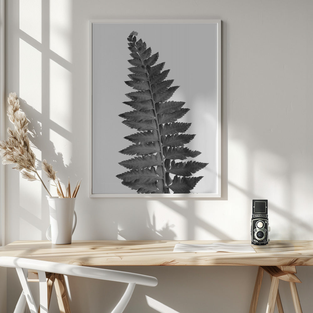 Gray fern leaf Poster