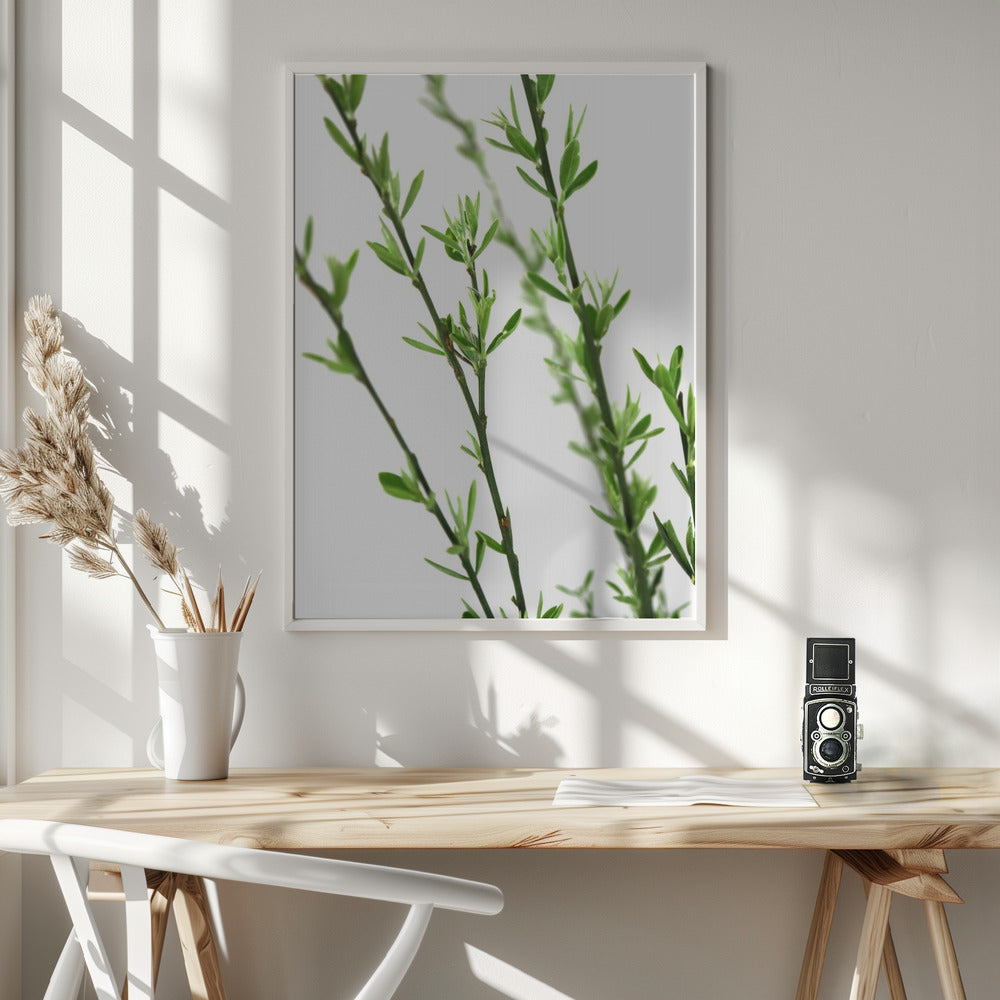 Green dainty branch Poster