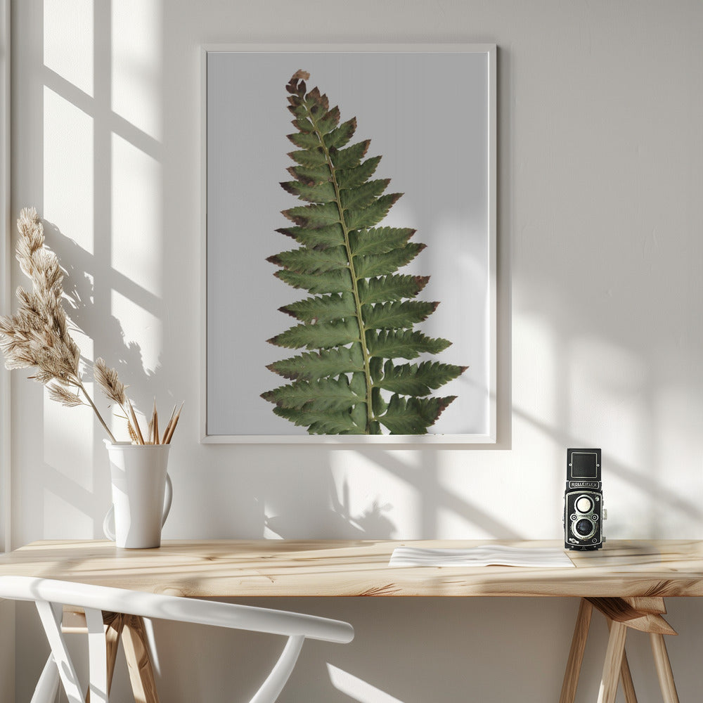 Green fern Poster