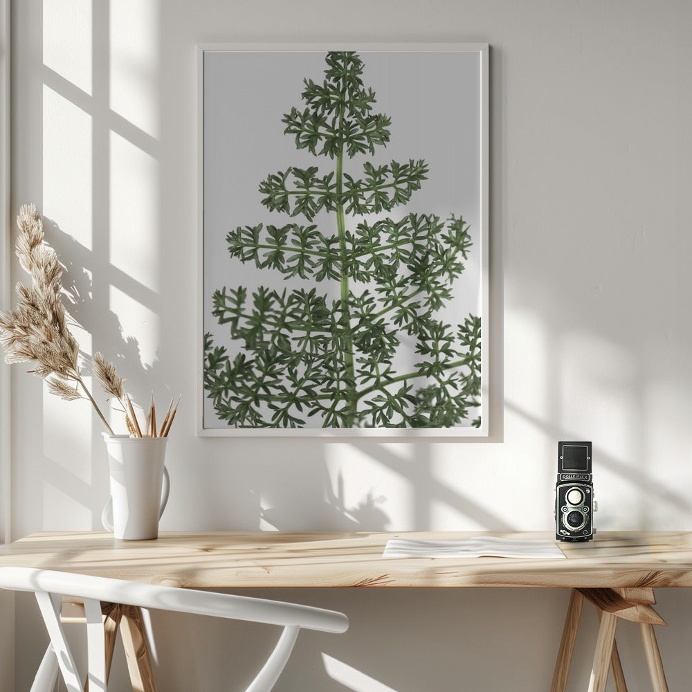 Green dainty leaves Poster