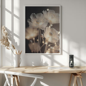 White Glowing Flowers Poster