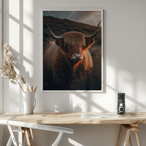 Highland Cow With Big Horns Poster