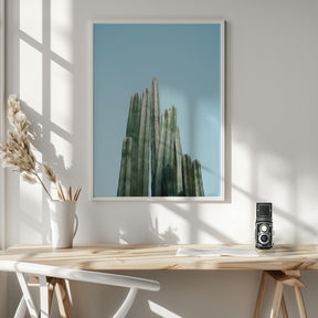 Cacti Poster