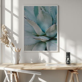 Succulent Green Poster