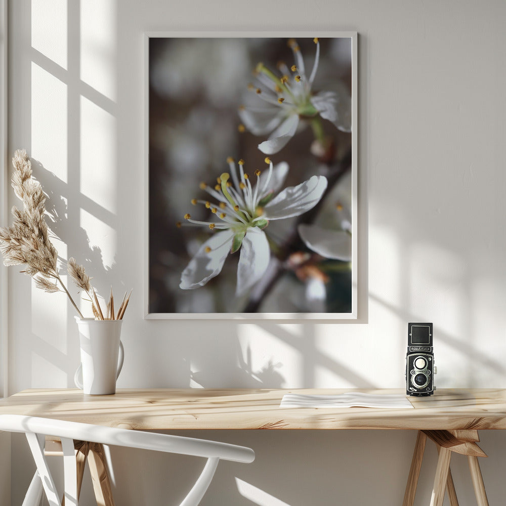 Spring blooms I Poster