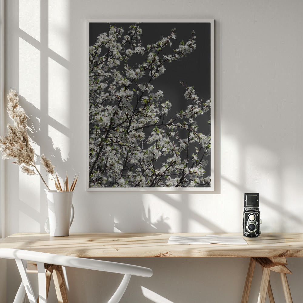 Spring branches Poster