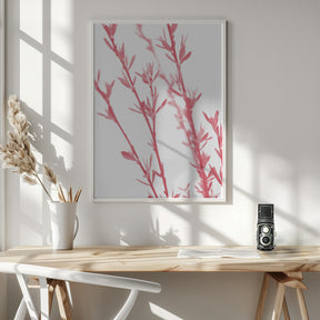 Pink dainty branch Poster