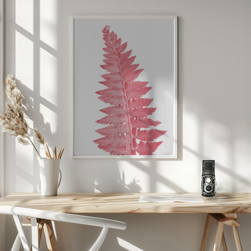 Pink fern leaf Poster