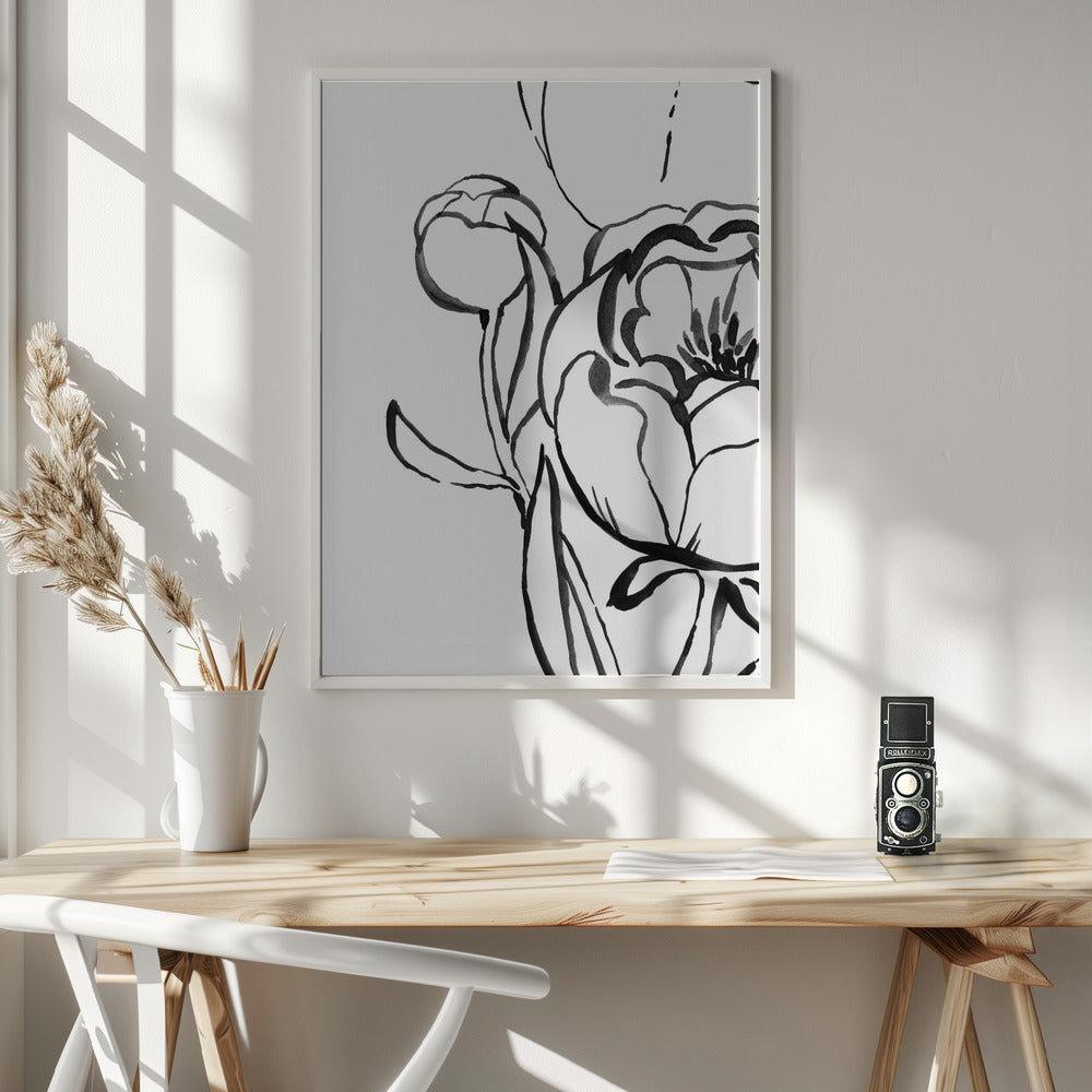 Anuman peony line art Poster